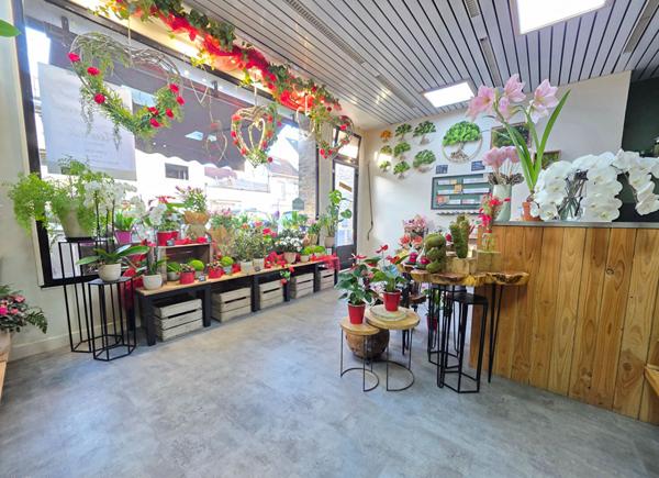 Fond de commerce à Trilport grande visibilité