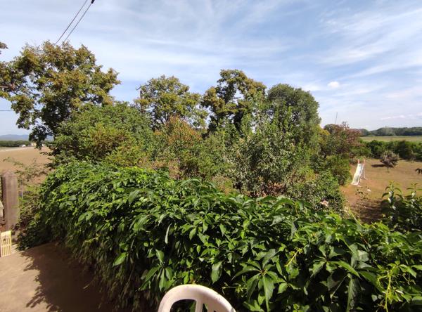 Ribaute-les-Tavernes (30720) Ribaute-les-Tavernes – Propriété de charme avec gîte, studio, piscine