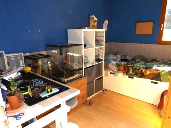 Vente / Maison traditionnelle