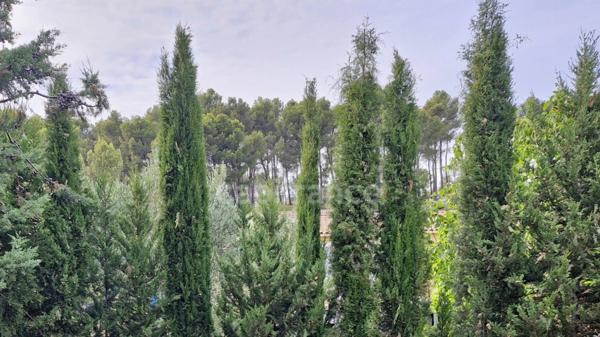 Maison à vendre 5 pièces sur plus de 3 000 m2 à BOUC BEL AIR (13320)