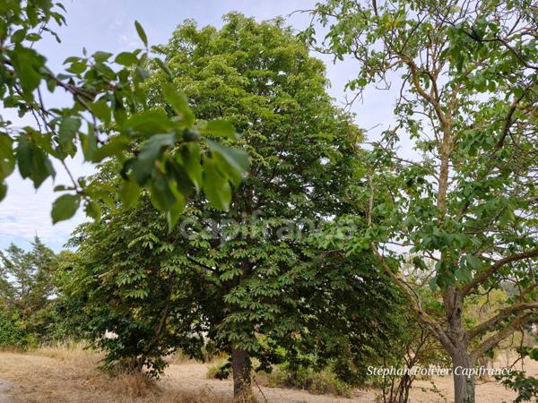 Maison à vendre 5 pièces sur plus de 3 000 m2 à BOUC BEL AIR (13320)