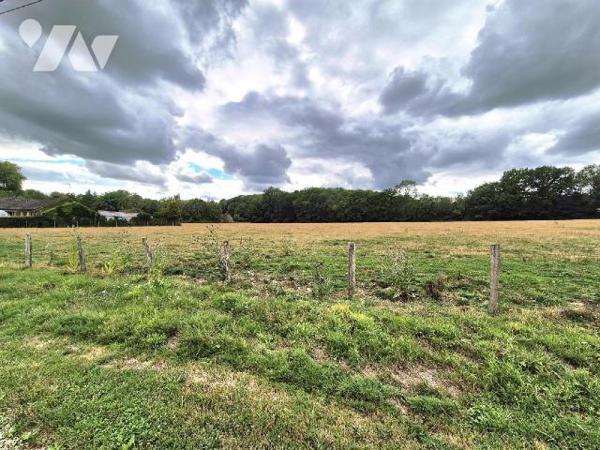 Secteur Lac de la Forêt d'Orient, entre Mesnil Saint Père et Géraudot, à La Loge aux Chèvres, t...