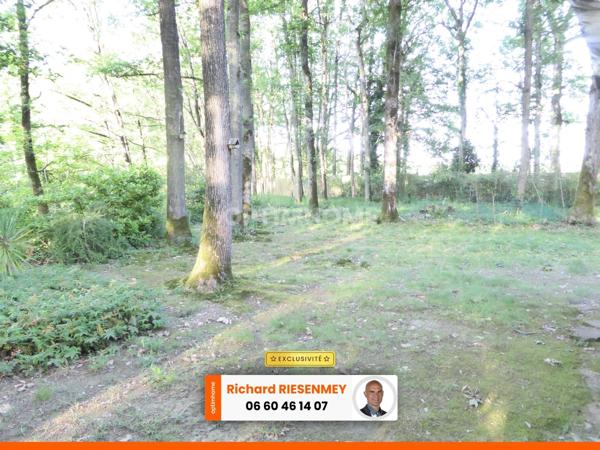 Chalet 45m² en camping à SAINT CHERON (91)