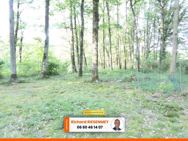 Chalet 45m² en camping à SAINT CHERON (91)
