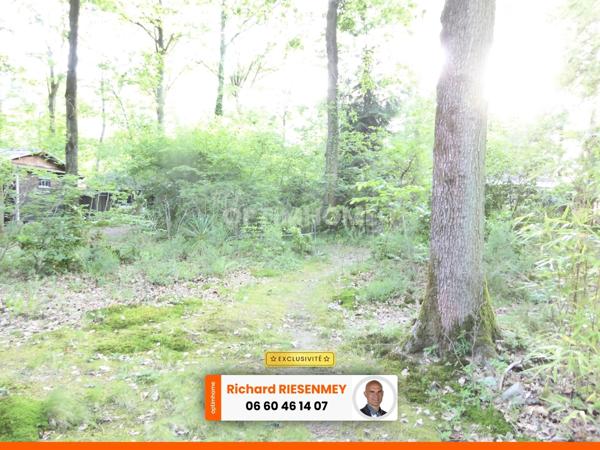 Chalet 45m² en camping à SAINT CHERON (91)
