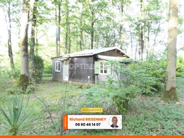 Chalet 45m² en camping à SAINT CHERON (91)