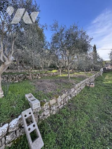 Vallauris Les Impiniers Beau terrain à batir piscinable  avec permis accepté 