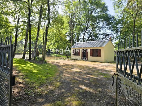Terrain à BREE, 53150 - 4120m²