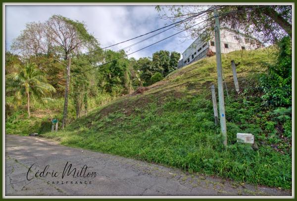 Terrain de 690 m² – au François, quartier Morne Courbaril
