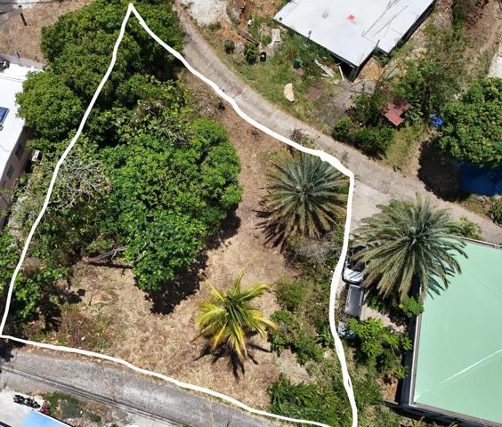 terrain constructible