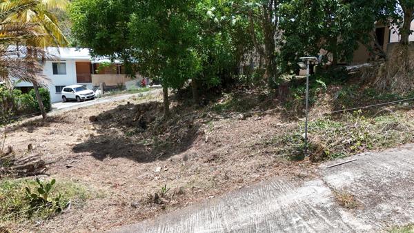 terrain constructible