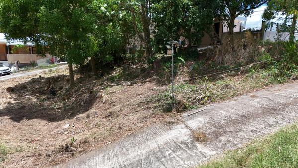 terrain constructible