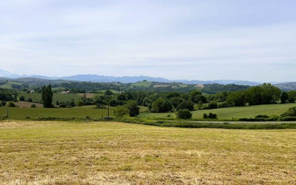 Terrain à vendre    Saint-Palais