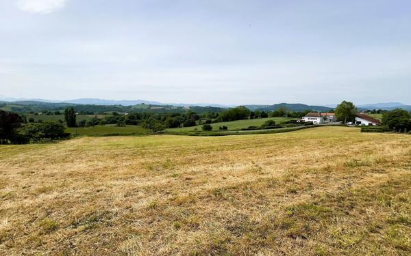 Terrain à vendre    Saint-Palais