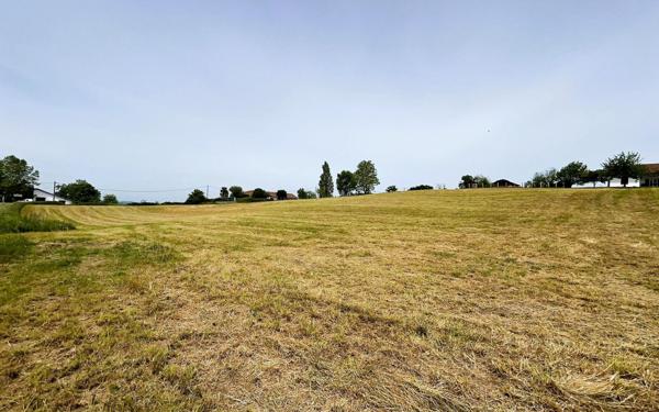 Terrain à vendre    Saint-Palais