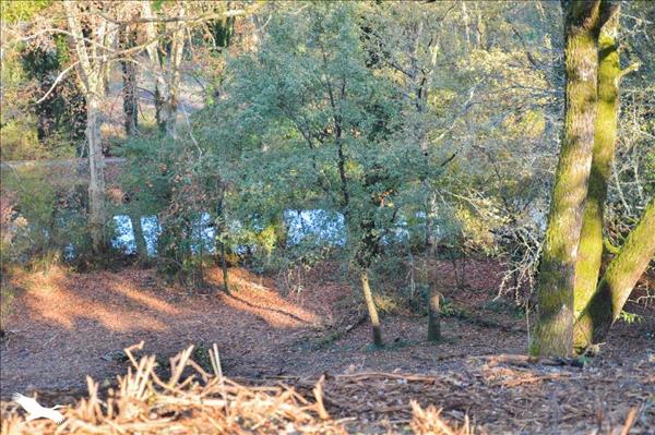 Maison à vendre |  Damazan |  5 pièces | 138 m²