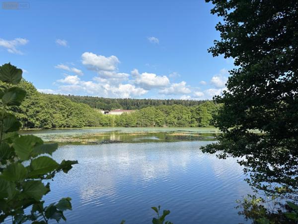 Propriete à vendre à Le Val-d'Ajol dans les Vosges (88340), ref : 14815/202500185   
La Croisette