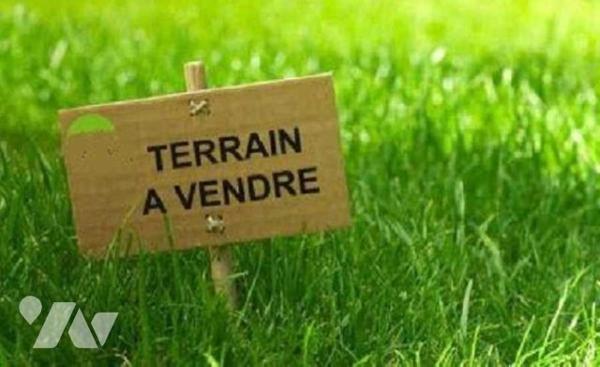Terrain à vendre Fors