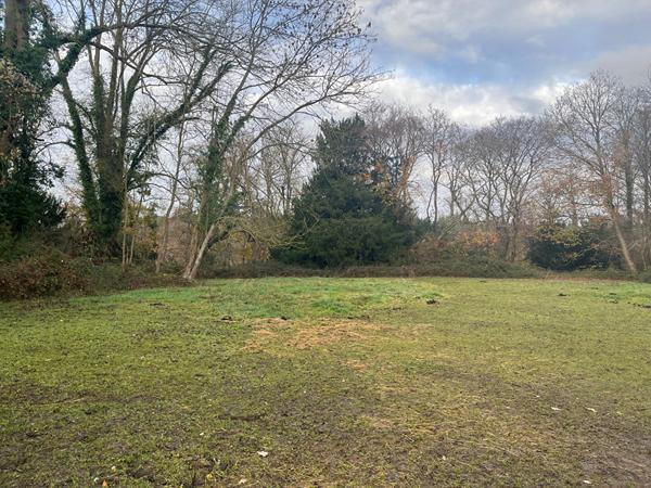 Terrain à vendre au Mesnil-Jourdain - Un écrin de nature à Louviers