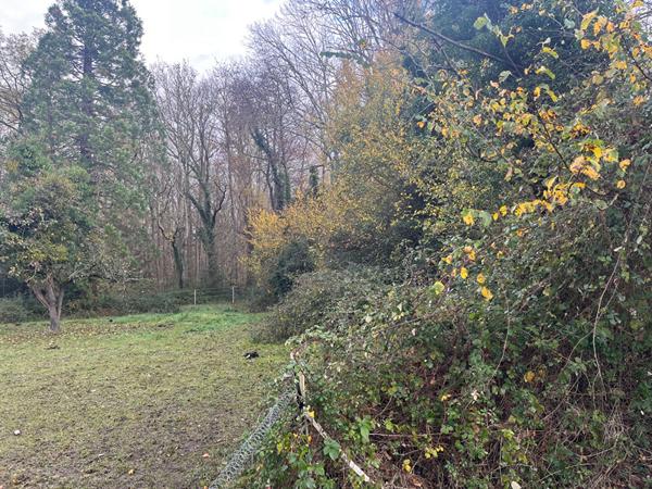 Terrain à vendre au Mesnil-Jourdain - Un écrin de nature à Louviers