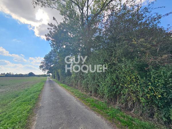 Terrain de loisirs Auchay Sur Vendee 6080 m2