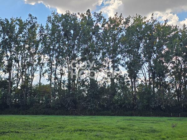 Terrain de loisirs Auchay Sur Vendee 6080 m2