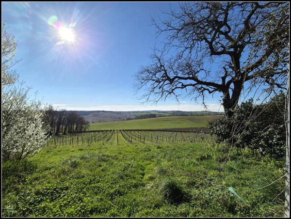 Maison avec Dépendances et Vue Panoramique – À 10 min d'Agen
