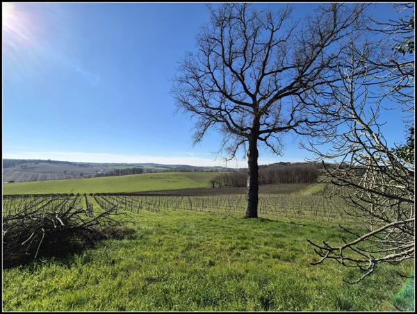 Maison avec Dépendances et Vue Panoramique – À 10 min d'Agen