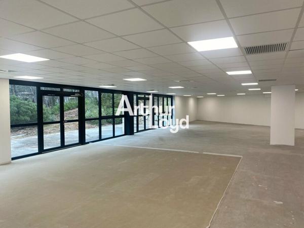 Bureaux 318.93 m² à louer en RDJ - Sophia Antipolis