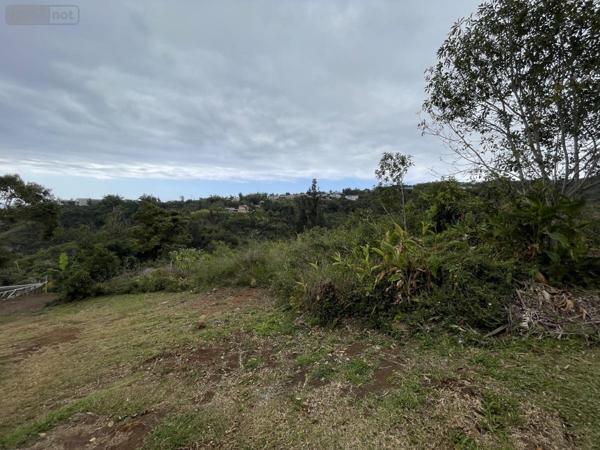 Terrain à Batir à vendre à Saint-Denis à la Réunion (97417), ref : 97409-282