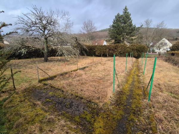 Vivre au cœur de la nature à Masevaux-Niederbruck