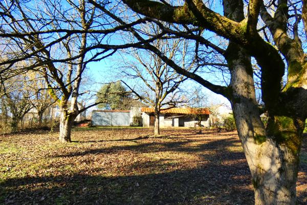 MAISON EN PIERRE Jussac (15250)