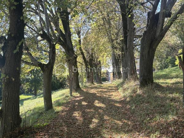 COUP DE COEUR ASSURE
Tombez sous le charme de ce Château de type Manoir aux airs de Toscane dans un environnement propice au repos et à la rêverie sur une parcelle de près de 5 hectares !
A mi-chemin entre Agen (3h de Paris direct TGV) et Villeneuve-sur-Lot, à proximité de Bergerac, (aéroport) cette propriété de 1830 se situe à 1 km d'un village avec toutes les commodités.
La propriété est en situation dominante au pied d'une colline boisée avec splendide vue sur la vallée du Lot.
L'entrée de la propriété vous mène tout d'abord à une belle allée goudronnée avec ses catalpas.
Le parc dispose de belles  terrasses à l'italienne avec de grands cyprès provenant de Toscane, de bassins aux nénuphars, statue et topiaire.
A proximité, vous disposez d un logement de gardien ayant gardé son authenticité avec ses tommettes : Une chambre, salle d eau et pièce de vie avec poêle à bois.
En arrivant, on aperçoit une belle gloriette en bois au fond d une allée arborée avec toujours cette vue magnifique ! L'allée de tilleuls aboutit à un kiosque.
La bâtisse principale fait environ 30 m de long sur 16 m de large et dispose de 2 étages.
La couverture en tuiles romanes est neuve.
Un peu d'histoire...
Une première rénovation avec modernisation des lieux fut réalisée vers 1920 par l'occupant d'alors, ambassadeur colombien, assisté de l'architecte Louis Basalo.
De nouveaux travaux de confort et de mise aux normes de tous les bâtiments ont été réalisés très récemment, permettant aux lieux de retrouver ainsi leur charme du début du 20e s.
Toutes les pièces sont spacieuses et lumineuses ; pièces de réception et de service au rez-de-chaussée, douze chambres, réparties entre les deux étages, avec chacune son point sanitaire privatif.
Partons pour une visite !
Au Rez de chaussée, la large porte vous accueille et donne sur une spacieuse galerie avec magnifiques carreaux de ciment.
Depuis l’entrée, l’accès à toutes les pièces principales du rez-de-chaussée est possible : un première salle à manger aux magnifiques boiseries et sa cheminée vous mène à un charmant bureau.
A l'arrière, une cuisine au charme ancien avec cheminée vous attend avec terrasse à l'arrière. Buanderie avec possibilité de douche.
Une belle bibliothèque au cachet anglais avec parquet point de Hongrie vous attend, puis bureau avec boiseries et pyrogravures signées narrant la conquête de Carthagène, puis grand salon avec cheminée.
L’escalier de bois en vis suspendu vous mène à l’étage où une belle galerie traversante vous attend.
Sur ce niveau, vous disposez de 7 chambres dont 4 donnant sur l'avant de la propriété avec vue sur le domaine. Elles disposent de toilettes et salle d'eau associées.
Des toilettes ont été installées près de la dernière pièce de l’étage et, une buanderie, avec rangements, placards anciens et lavabo, lui fait suite.

Dans l'entresol, se trouve ce qui était la chambre du chauffeur au 20e s., qui est à réaménager.
Au second étage, une chambre, logée sous les toits, bénéficie d’une vue époustouflante sur la vallée, puis deux autres chambres et leur salle de douche.

Les rénovations menées, respectueuses de l'histoire des lieux et d’une grande qualité, ont permis de magnifier l’ensemble de la propriété distinguée par le label de la Fondation du patrimoine.

À noter également à l extérieur :
Une grande piscine de 100M3 avec larges terrasses.
Nombreuses. menuiseries neuves.
Un grand lavoir et une pièce à usage d’atelier ou de stockage.
Un grand bâtiment en dépendance (qui assemble un garage, un chai et un pigeonnier), attenant à la demeure, est à proximité de la propriété.
Stationnements possibles à divers endroits sur le parc.

Amoureux de l'authenticité, que vous soyez une grande famille ou que vous ayez le projet d'une maison d'hôtes, ce bien mérite absolument une visite !