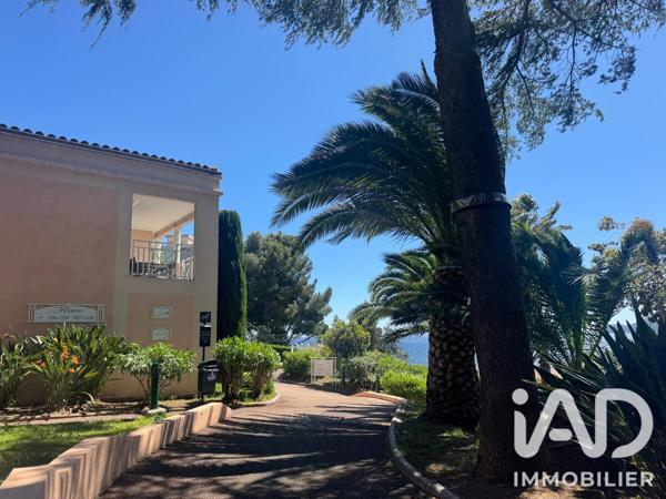 Location appartement 2 pièces 27 m² Cannes