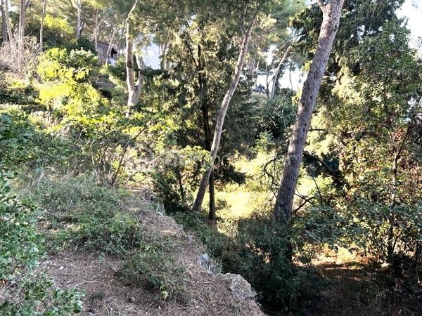Ce terrain constructible de 1419m², rare sur le secteur, se situe sur la face nord du prestigieux Mont Saint-Clair à Sète et offre une vue imprenable sur l’étang de Thau. Idéalement situé dans un cadre naturel préservé, à proximité de la mer et des commodités, ce bien représente une opportunité unique. 

L’accès au terrain se fait par un droit de passage, suivi d’une descente en pente. 

Avec une emprise au sol de 11%. La hauteur de la construction est limitée à 6 m, mesurée à partir du point le plus bas, que ce soit au niveau de l’égout.
Le terrain permet d’aménager une piscine à 5 mètres des limites séparatives et comprend deux places de stationnement privatives.
Des travaux de débroussaillage, de terrassement, d’assainissement et de raccordement aux réseaux (eau et électricité) sont à prévoir.

Si vous le souhaitez, je peux également proposer à l'architecte Pierre DI TUCCI de concevoir avec vous la maison de vos rêves, en assurant le dépôt de construire. Un projet avec un terrain similaire a déjà été accepté sur une parcelle voisine.

De plus, un terrain adjacent de 1468 m², avec les mêmes dispositions, est également à vendre au même prix de 395 000 euros. En réunissant les deux parcelles, vous disposerez d'un terrain total de 2887 m², offrant ainsi encore plus de possibilités pour votre projet, comme l’agrandissement de la construction, la création de jardins spacieux ou d'autres aménagements extérieurs.
 
Je reste disponible pour toute question ou pour organiser une visite