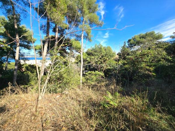 Ce terrain constructible de 1419m², rare sur le secteur, se situe sur la face nord du prestigieux Mont Saint-Clair à Sète et offre une vue imprenable sur l’étang de Thau. Idéalement situé dans un cadre naturel préservé, à proximité de la mer et des commodités, ce bien représente une opportunité unique. 

L’accès au terrain se fait par un droit de passage, suivi d’une descente en pente. 

Avec une emprise au sol de 11%. La hauteur de la construction est limitée à 6 m, mesurée à partir du point le plus bas, que ce soit au niveau de l’égout.
Le terrain permet d’aménager une piscine à 5 mètres des limites séparatives et comprend deux places de stationnement privatives.
Des travaux de débroussaillage, de terrassement, d’assainissement et de raccordement aux réseaux (eau et électricité) sont à prévoir.

Si vous le souhaitez, je peux également proposer à l'architecte Pierre DI TUCCI de concevoir avec vous la maison de vos rêves, en assurant le dépôt de construire. Un projet avec un terrain similaire a déjà été accepté sur une parcelle voisine.

De plus, un terrain adjacent de 1468 m², avec les mêmes dispositions, est également à vendre au même prix de 395 000 euros. En réunissant les deux parcelles, vous disposerez d'un terrain total de 2887 m², offrant ainsi encore plus de possibilités pour votre projet, comme l’agrandissement de la construction, la création de jardins spacieux ou d'autres aménagements extérieurs.
 
Je reste disponible pour toute question ou pour organiser une visite