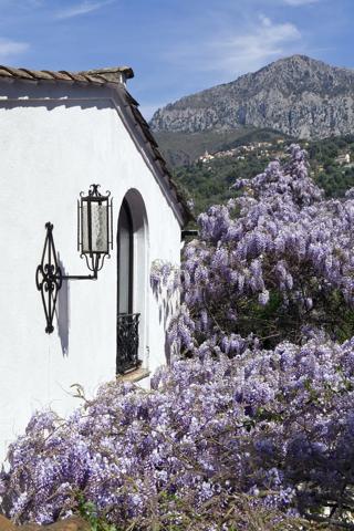 Citronneraie - Jardin d'exception