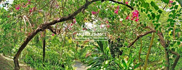 belle villa au calme