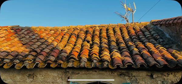 Un projet idéal pour les investiseurs locatif ou 1er accédent