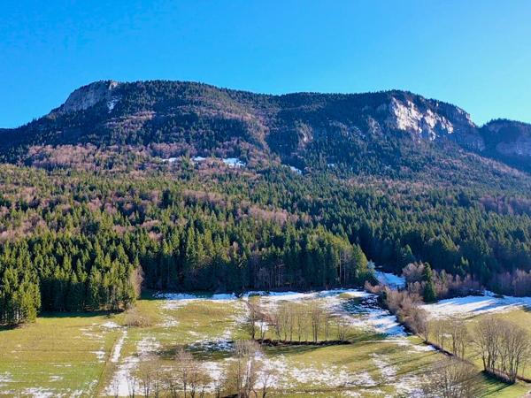Terrain - 2300 m² Exclusivité