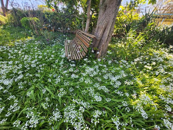 EXCLUSIVITE A VEDENE- GRAND AVIGNON - MAISON A VENDRE DE PLAIN PIED AVEC TERRAIN DE 1000 M² PROCHE CENTRE VILLE