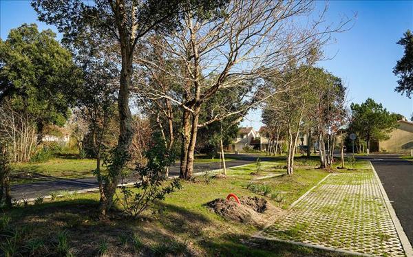 Terrain à vendre |  Bénesse-Maremne |  692 m²