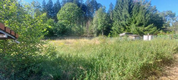 À vendre Maison 6 pièces 160 m² - Xonrupt-longemer 88400