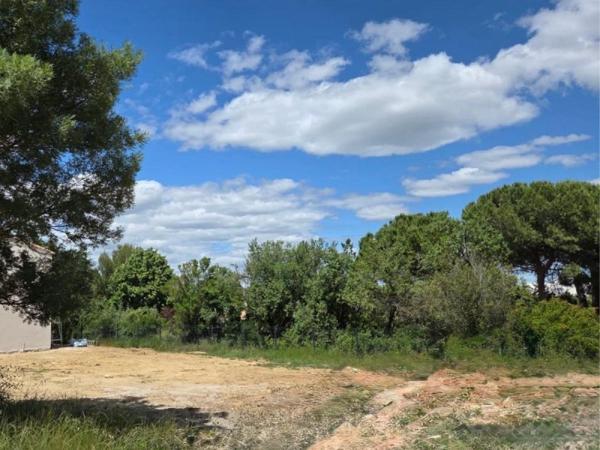 Vente / Terrain constructible