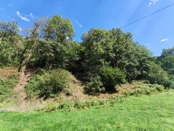 Terrain à vendre 72 345 € Luz-Saint-Sauveur 1046 m² DPE