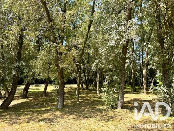 Appartement à vendre 3 pièces 75 m² Mandelieu-la-Napoule