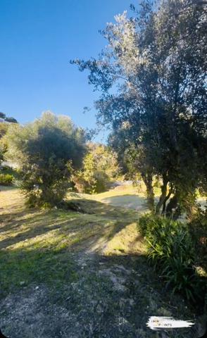 Nice (06100) GAIRAUT TERRAIN VUE MER / 2240m²