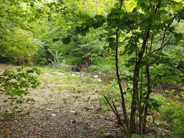 Maison Esperaza 7 pièce(s) 147 m2