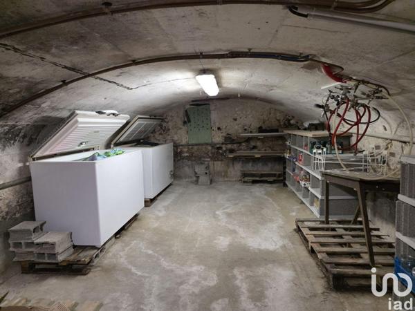 Hôtel-restaurant à vendre 250 m² Saint-Flovier