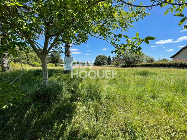 Terrain Orthez 1910 m² vue PYRENEES